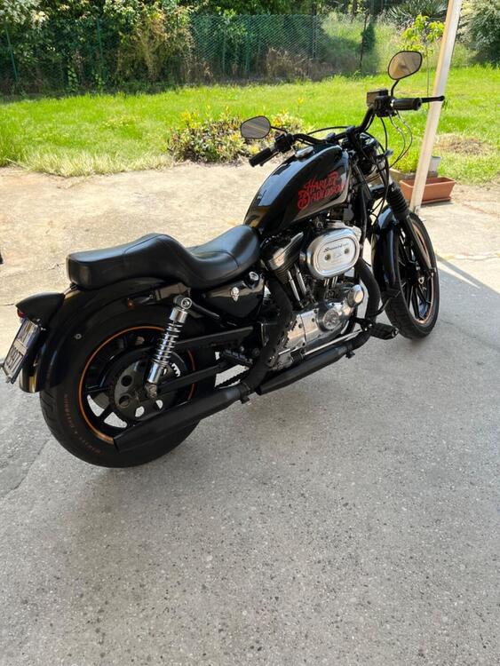 Harley-Davidson Sposter 883 (2)