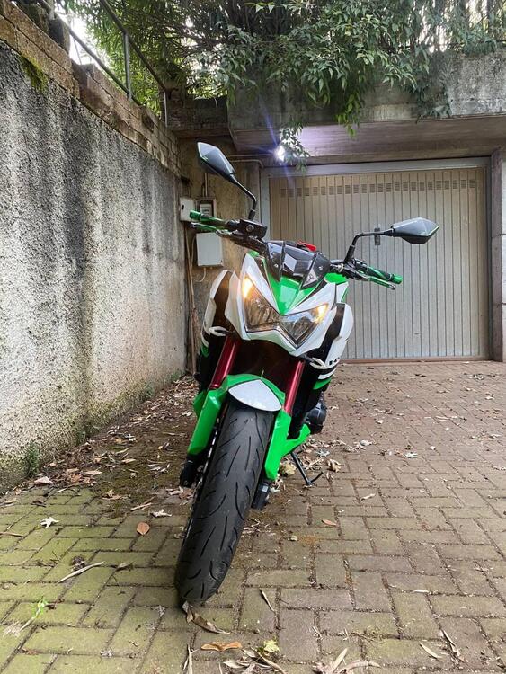 Kawasaki Z 800 Sugomi Edition ABS (2016) (4)