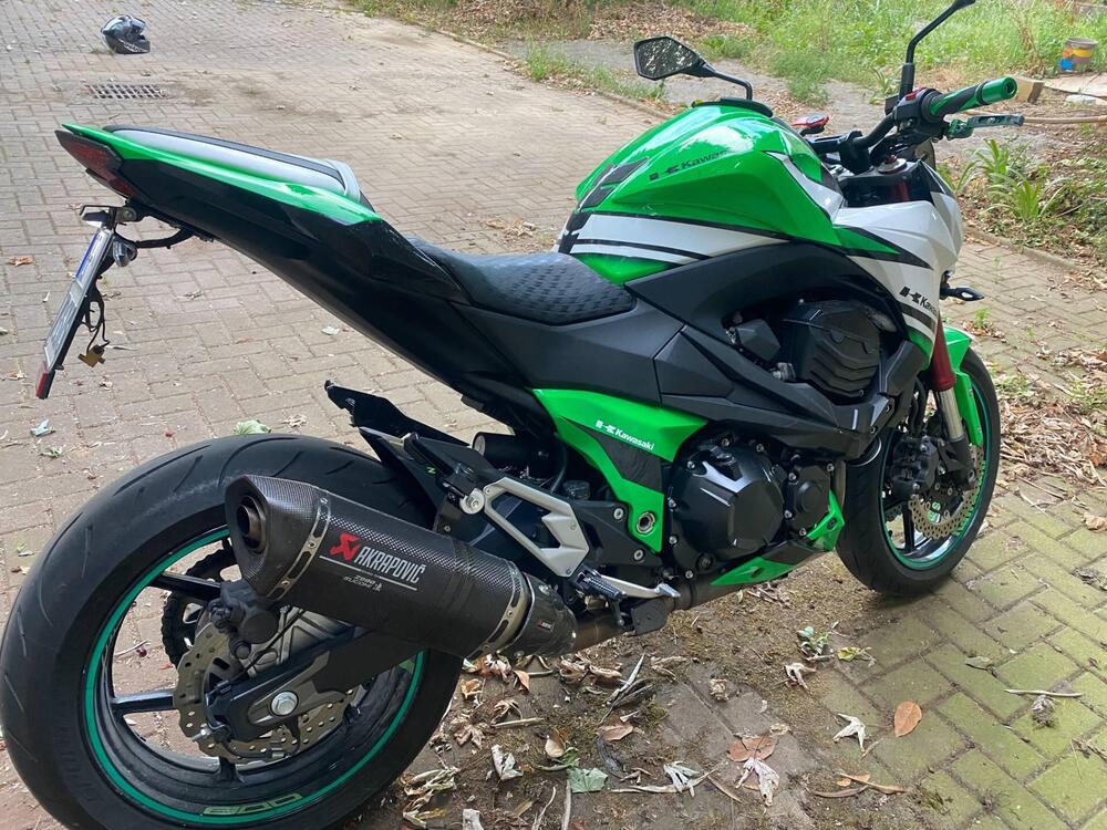 Kawasaki Z 800 Sugomi Edition ABS (2016) (2)