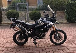 Triumph Tiger 900 Rally Aragón Edition (2023 - 24) usata