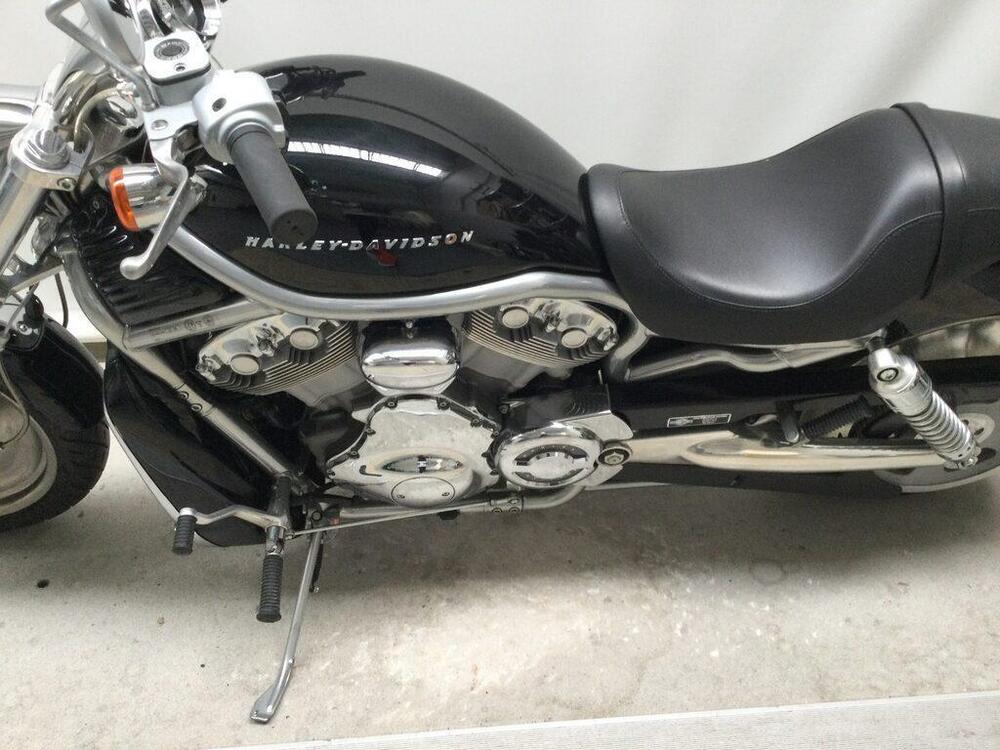 Harley-Davidson 1130 V-Rod (2002 - 05) - VRSCA (5)