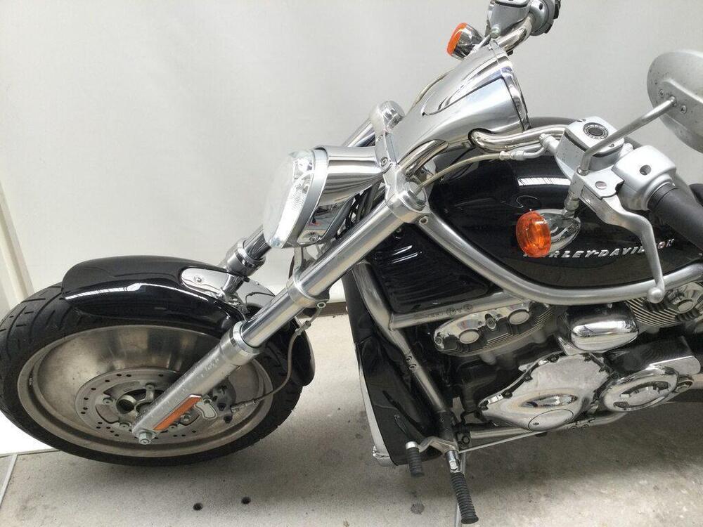 Harley-Davidson 1130 V-Rod (2002 - 05) - VRSCA (4)