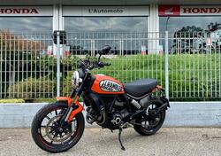 Ducati Scrambler 800 Icon (2017 - 20) usata