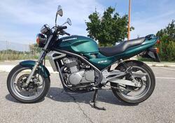 Kawasaki ER-5 500 (1996 - 00) usata