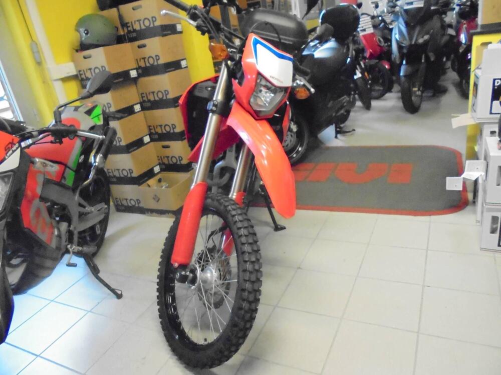 Honda CRF 300 L (2021 - 24) (3)