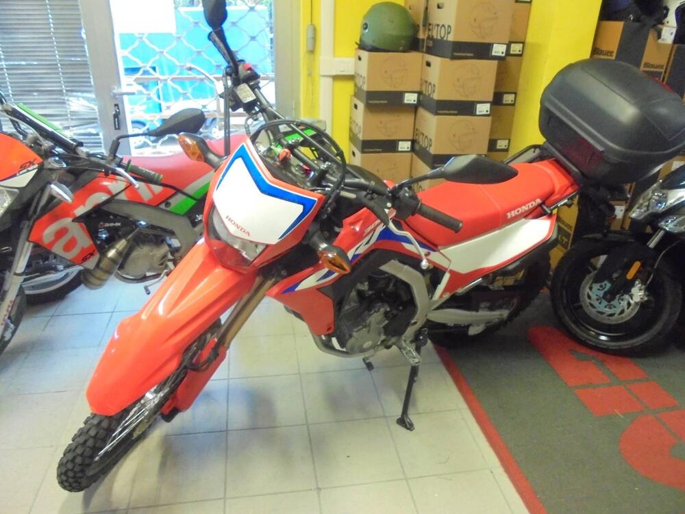 Honda CRF 300 L (2021 - 24) (4)