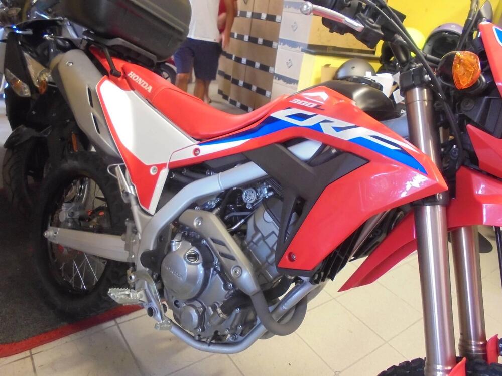 Honda CRF 300 L (2021 - 24)