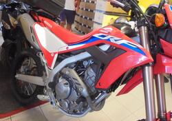 Honda CRF 300 L (2021 - 24) usata