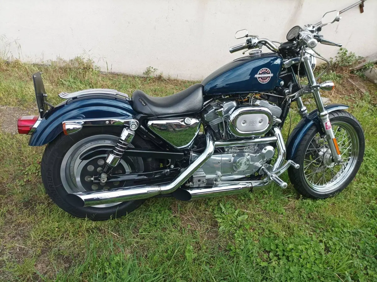 Harley-Davidson 883 Standard (2001 - 05) - XL 883 (5)