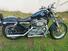 Harley-Davidson 883 Standard (2001 - 05) - XL 883 (6)