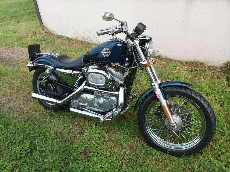 Harley-Davidson 883 Standard (2001 - 05) - XL 883 (8)