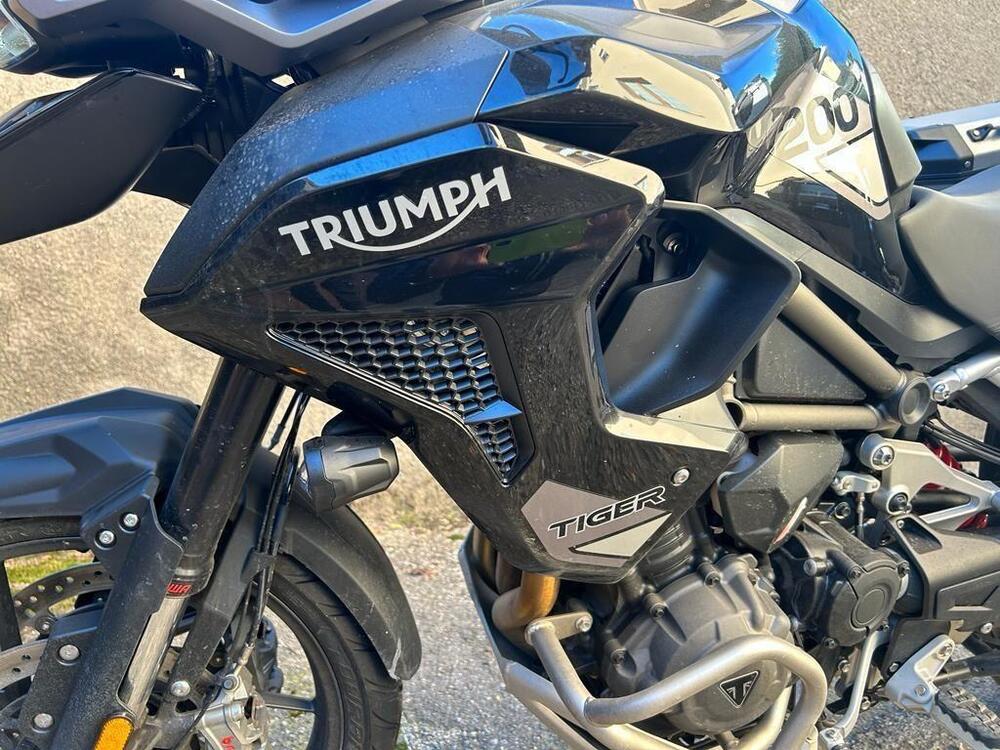 Triumph Tiger 1200 GT Pro (2022 - 23) (2)