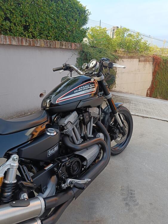 Harley-Davidson 1200 XR (2009 - 12) (4)