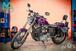 Harley-Davidson 1200 Custom (2001 - 03) - XL 1200C (13)