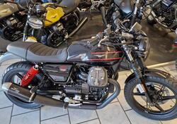 Moto Guzzi V7 Special Edition (2022 - 24) nuova