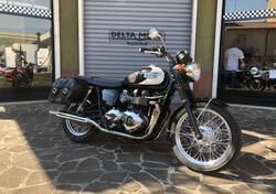 Triumph Bonneville T100 (2008 - 16) usata