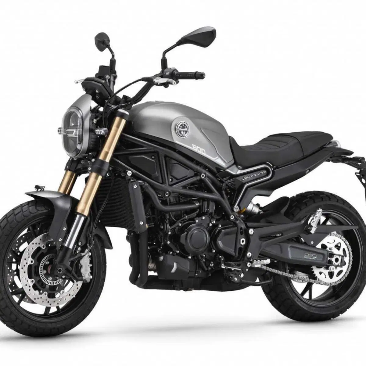 Benelli Leoncino 800 (2022 - 26)