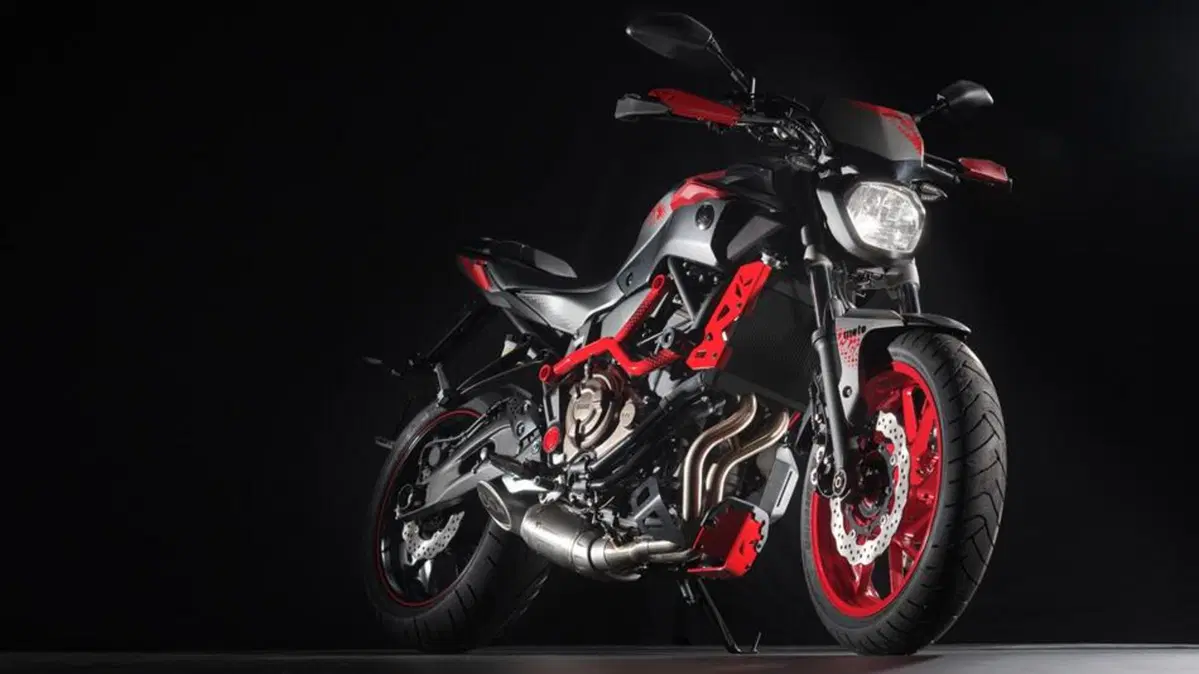 Yamaha MT-07 MT-07 Moto Cage (2015 - 17) (5)