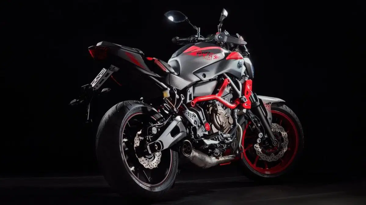Yamaha MT-07 MT-07 Moto Cage (2015 - 17) (2)