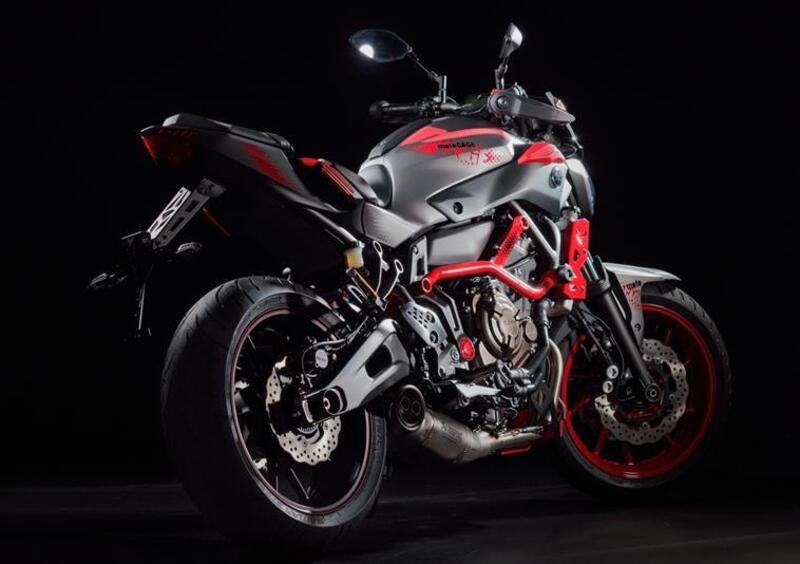 Yamaha MT-07 MT-07 Moto Cage (2015 - 17) (2)