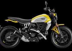 Ducati Scrambler 800 Icon (2023 - 24) usata