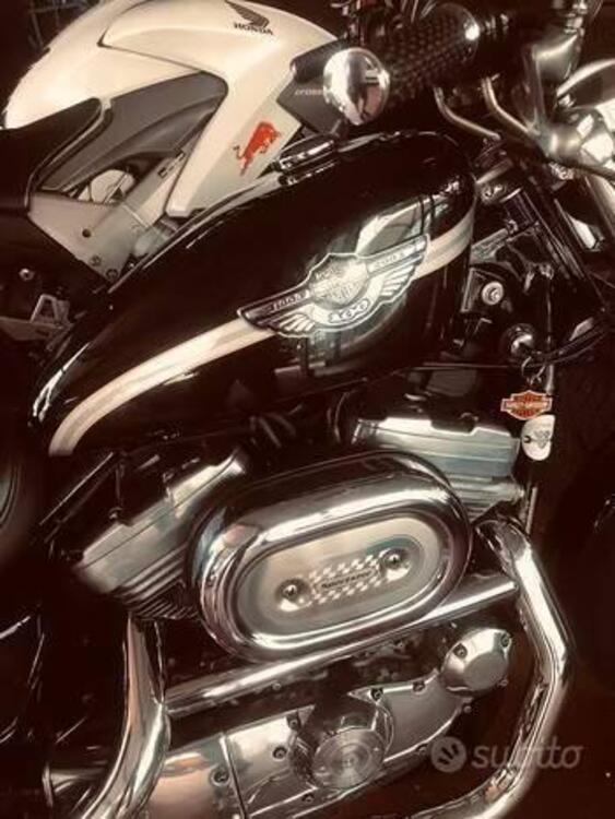 Harley-Davidson 883 Standard (2001 - 05) - XL 883 (4)