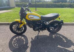 Ducati Scrambler 800 Icon (2017 - 20) usata