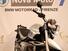 Bmw R 1150 R (2000 - 07) (14)