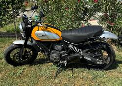 Ducati Scrambler 800 Classic (2015 - 16) usata