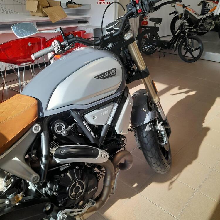 Ducati Scrambler 1100 (2018 - 20) (3)