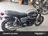 Triumph Street Twin EC1 Special Edition (2022 - 23) (7)