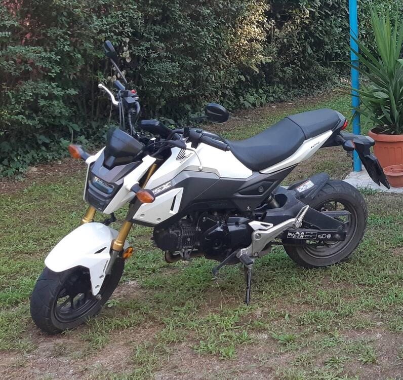 Honda MSX 125 (2018 - 20)