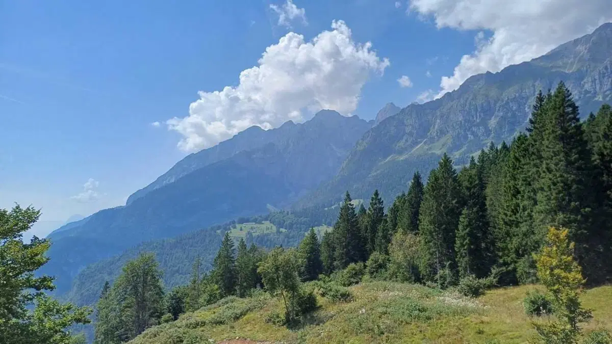 Proviamo la Mondraker Neat RR SL su un trail spettacolare, il Supernatural al Paganella Bike Park! [VIDEO]