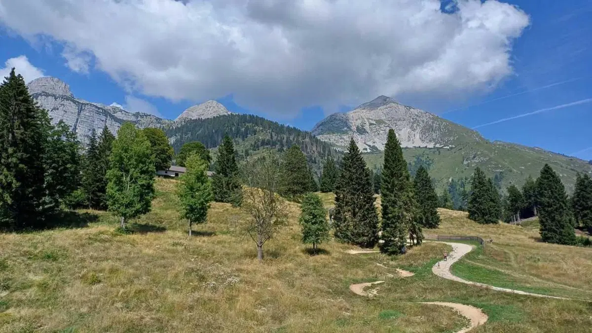 Proviamo la Mondraker Neat RR SL su un trail spettacolare, il Supernatural al Paganella Bike Park! [VIDEO] (2)
