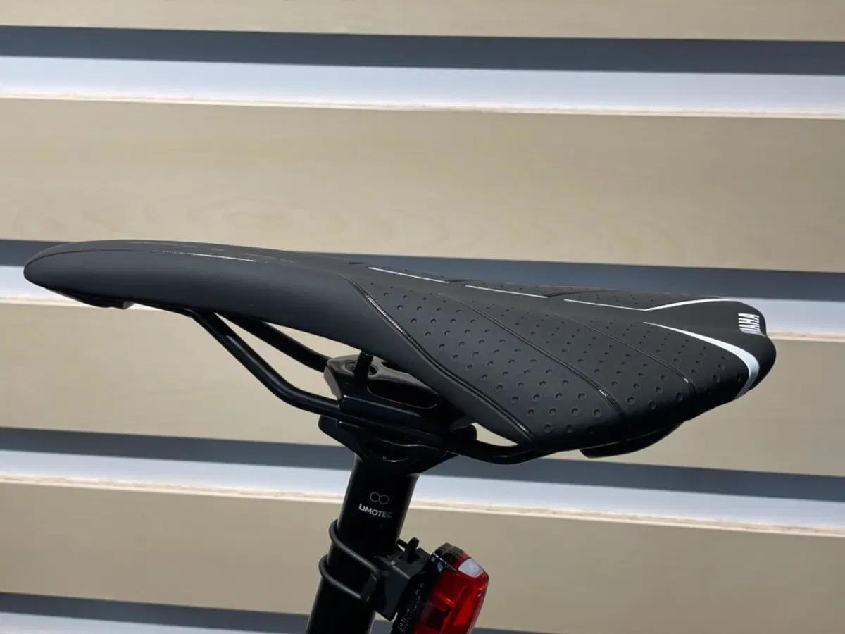 BICICLETTA WABASH RT YAMAHA (2)