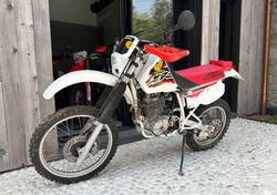 Honda XR 600 R (1990 - 94) usata