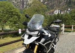 Triumph Tiger 1200 Rally Explorer (2022 - 23) usata