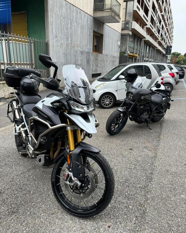 Triumph Tiger 1200 Rally Explorer (2022 - 23) (2)