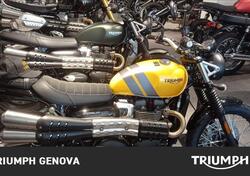 Triumph Scrambler 900 (2023 - 24) usata