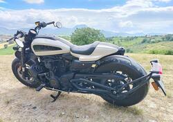 Harley-Davidson Sportster S (2022 - 24) usata