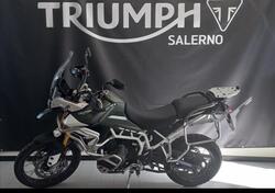 Triumph Tiger 900 Rally Pro (2020 - 23) usata