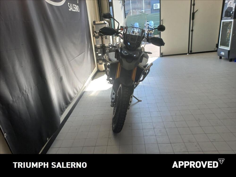 Triumph Tiger 900 Rally Pro (2020 - 23) (4)