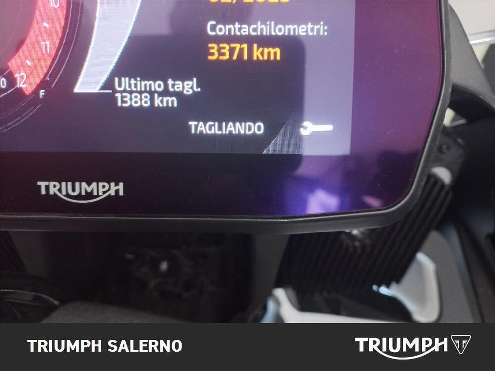 Triumph Tiger 1200 Rally Pro (2022 - 23) (4)