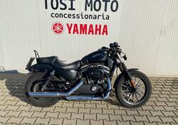 Harley-Davidson 883 Iron (2012 - 14) - XL 883N usata