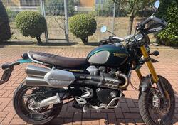 Triumph Scrambler 1200 Steve McQueen Edition (2021 - 22) usata