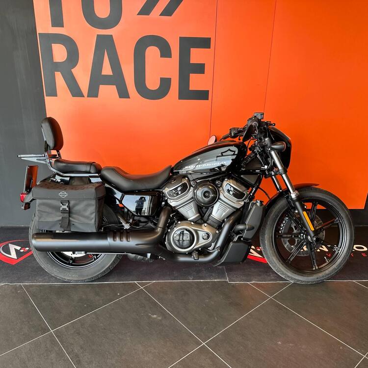 Harley-Davidson Nightster (2023 - 24)