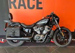 Harley-Davidson Nightster (2023 - 24) usata