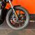 Harley-Davidson Nightster (2023 - 24) (7)