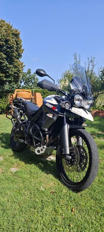 Triumph Tiger 800 XCx (2015 - 17) (4)