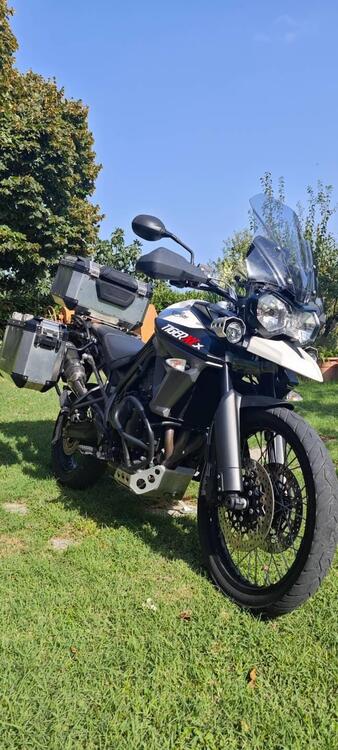 Triumph Tiger 800 XCx (2015 - 17) (5)